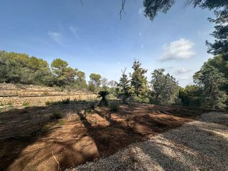 Terreno en venta en Zona Urbanizaciones en Alzira