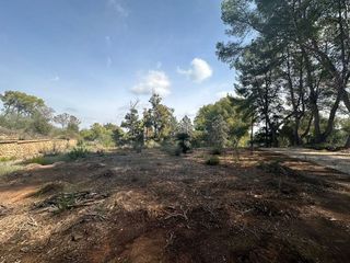 Terreno en venta en Zona Urbanizaciones en Alzira