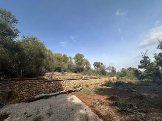 Terreno en venta en Zona Urbanizaciones en Alzira