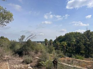 Terreno en venta en Zona Urbanizaciones en Alzira
