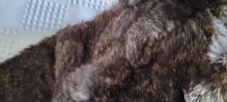 Gorro de pelo largo con orejeras