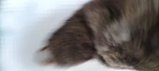 Gorro de pelo largo con orejeras