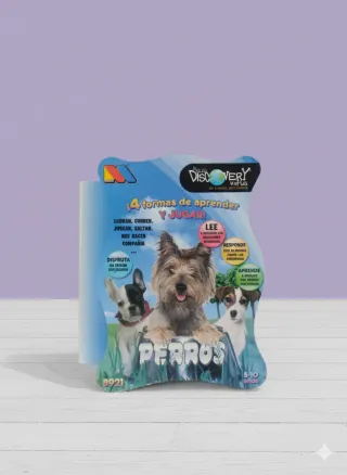 4 formas de aprender