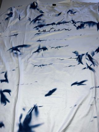 Camiseta Estampada Azul y Blanca