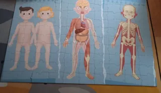 Puzzle Cuerpo Humano 100 Piezas