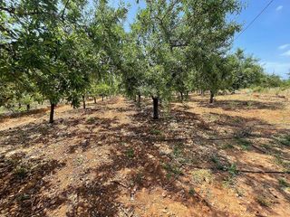 Casa rural en venta en Torreblanca