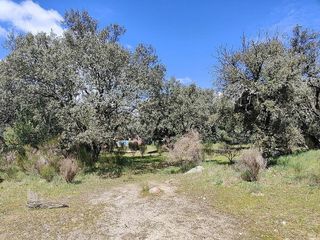 Terreno en venta en Navalquejigo - Los Arroyos en Escorial (El)