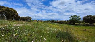 Terreno en venta en Navalquejigo - Los Arroyos en Escorial (El)