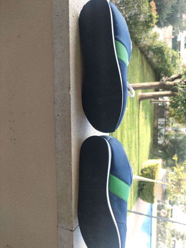 Deportivas Polo Azul y Verde