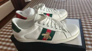 Scarpe Gucci Ace Uomo 