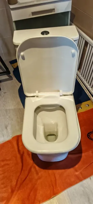 Inodoro porcelana blanco