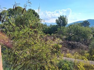 Solar en venta en Alcora, l´