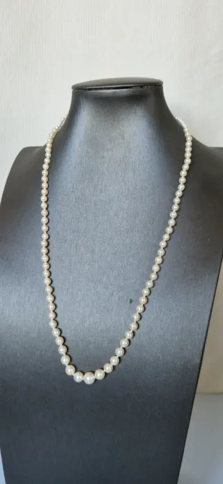 Collana di Perle di mare con omaggio