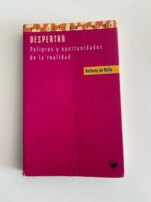 Despertar : Peligros Y Oportunidades De La Real...