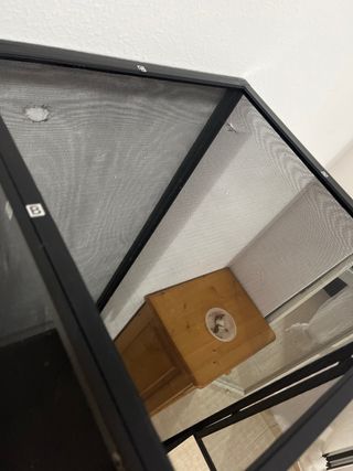 Terrario para reptiles y mesa