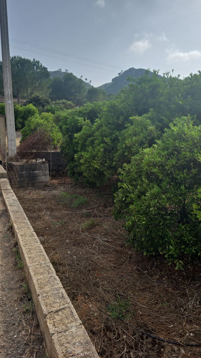 Finca Rústica en Barraca de Aguas Vivas