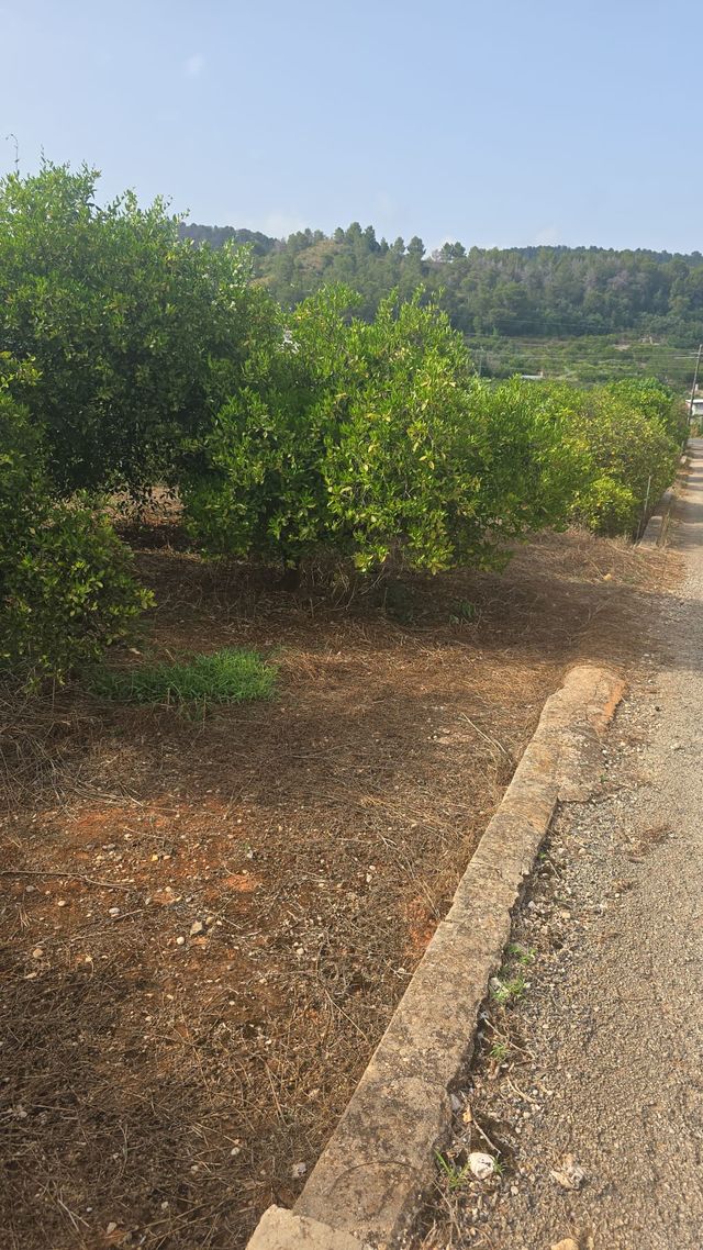 Finca Rústica en Barraca de Aguas Vivas