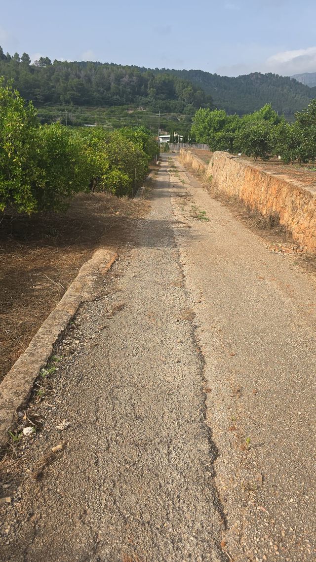 Finca Rústica en Barraca de Aguas Vivas