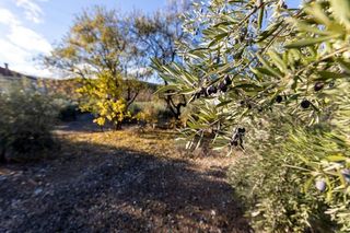 Terreno en venta en Iznalloz