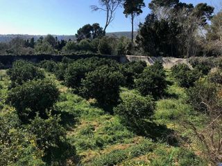Casa en venta en La Xara - La Sella - Jesús Pobre en Dénia