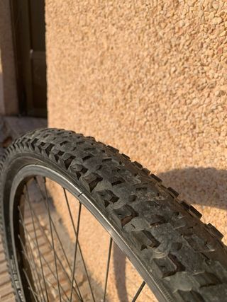 Ruota per bici MTB