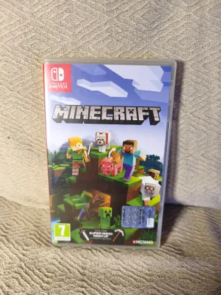 Minecraft Nintendo Switch