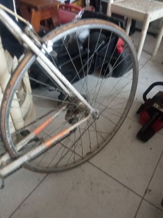 Bicicleta Vento Vintage