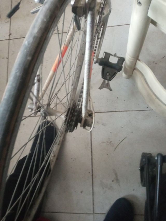 Bicicleta Vento Vintage