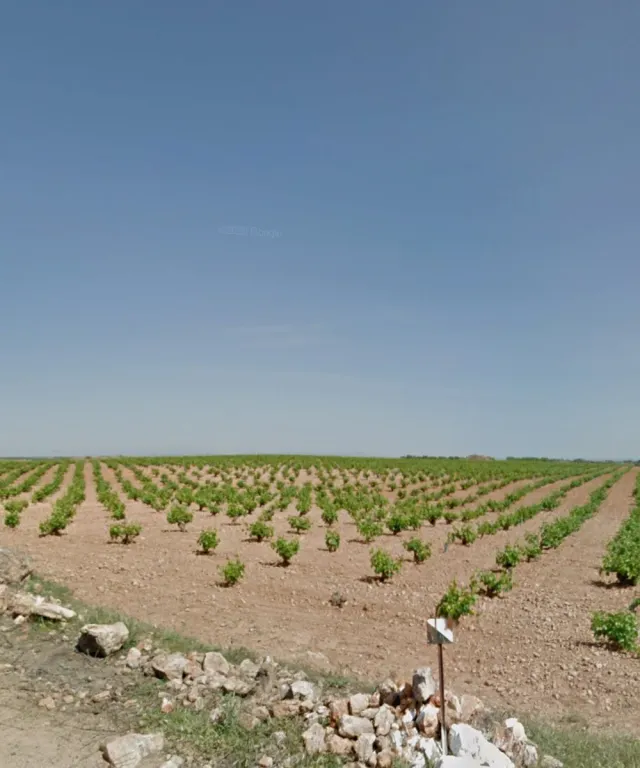 Finca Rústica La Solana, Paraje Moraleja CR