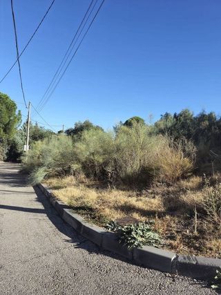 Solar en venta en Ribatejada