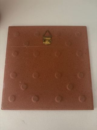 Azulejo decorativo Cuidado con el gato