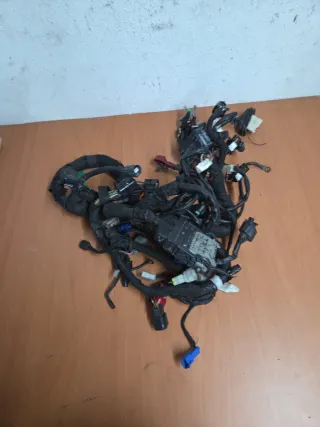 Cableado KTM Duke 125 (2018-2022)