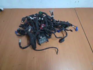 Cableado KTM Duke 125 (2018-2022)