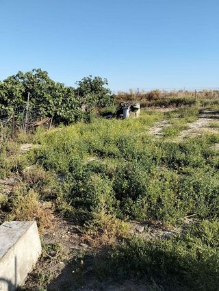 Chalet en venta en Pelagatos - Pago del Humo en Chiclana de la Frontera