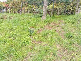 Terreno en venta en Matamá - Beade - Bembrive - Valádares - Zamáns en Vigo