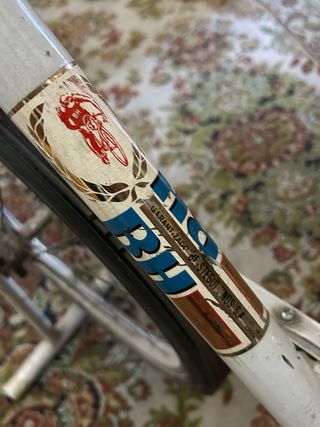 Bicicleta Estática BH Vintage Años 60