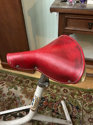 Bicicleta Estática BH Vintage Años 60