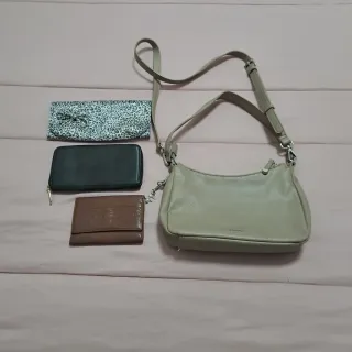Borsa Carpisa e 3 portafogli