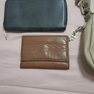 Borsa Carpisa e 3 portafogli
