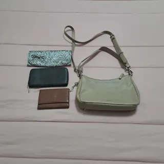 Borsa Carpisa e 3 portafogli