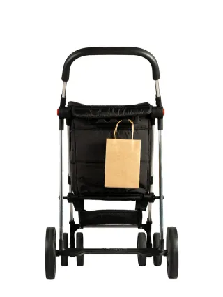 Carro de la compra Rolser 4 ruedas