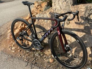 Scott Addict 2024 Talla M