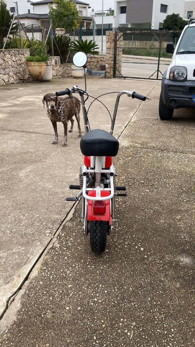 Minimarcelino Ducati 50cc