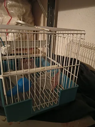 Jaula para hámster o roedor pequeña o pájaros