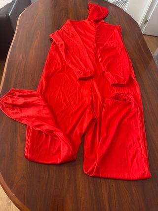 Disfraz Ladrón Adulto, Talla Única M/L
