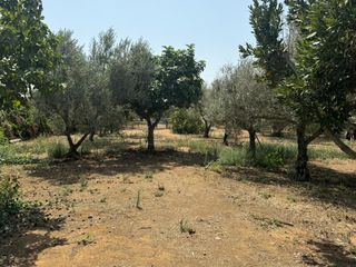Parcela Rústica en Alcalá - Hacienda Miravet