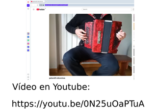 Acordeón Gabbanelli cromático pequeño