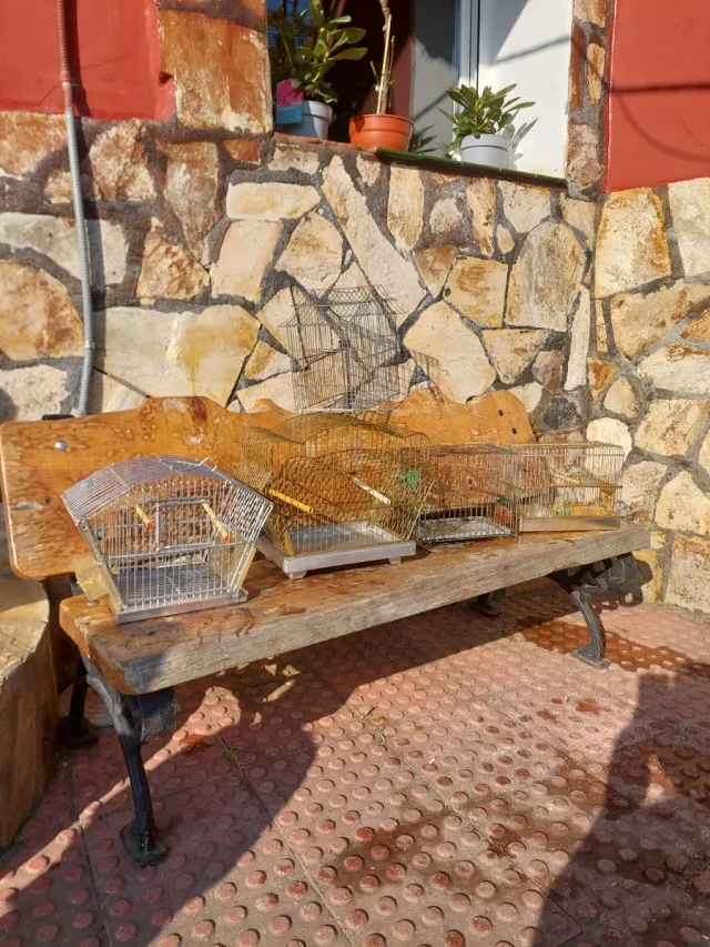 Jaulas para pájaros