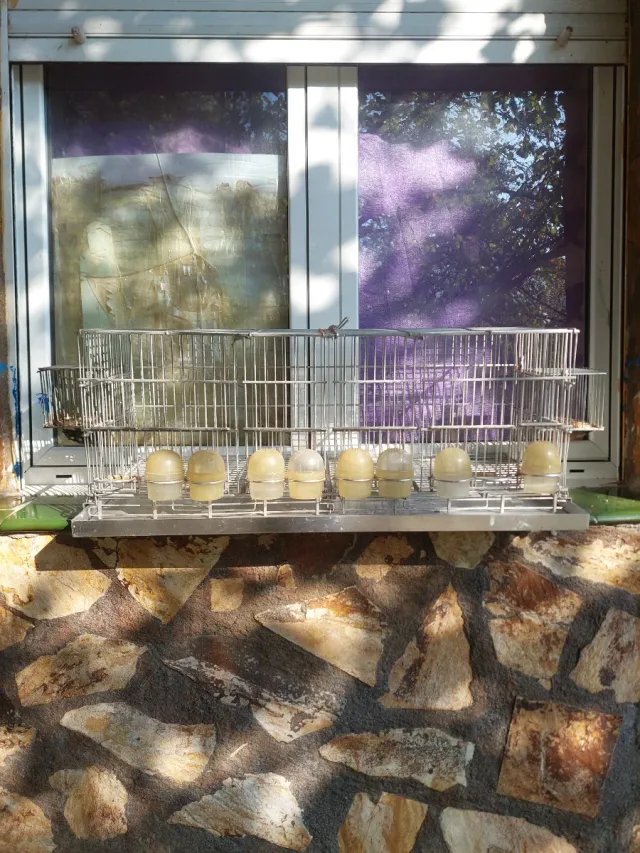 Jaula grande para pájaros