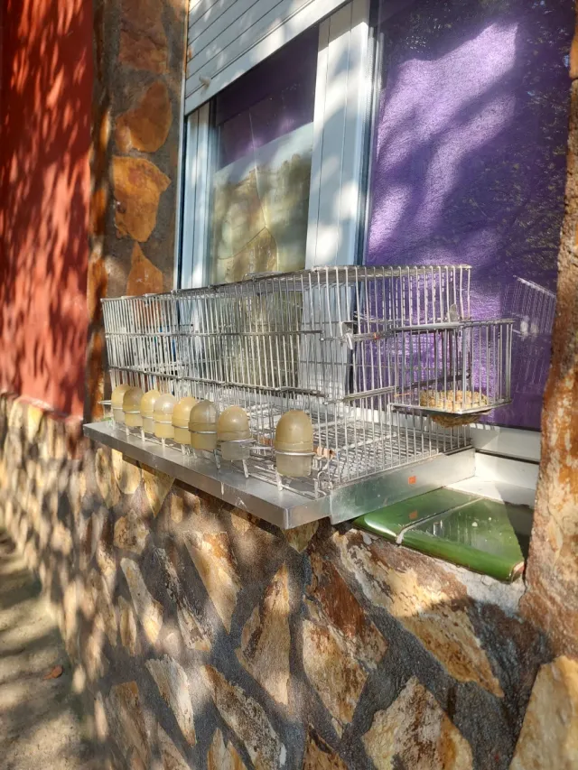 Jaula grande para pájaros